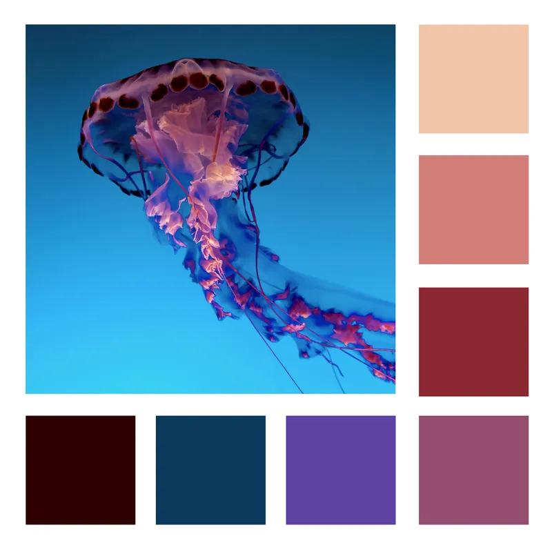 Image color palette extractor and generator tool.